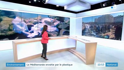 Environnement : les Marseillais se mobilisent contre le plastique en Méditerranée