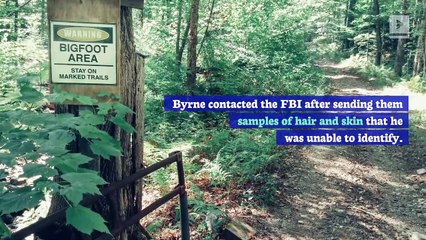 FBI Releases Files on a 1970s Case Involving Bigfoot