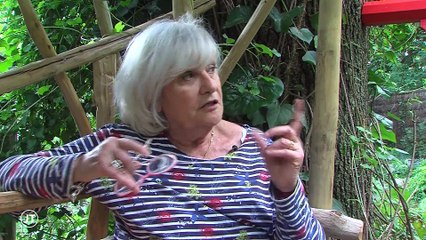 Le journal - 07/06/2019 -  La tempête Miguel fait deux blessés légers