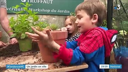 Environnement : cultiver son jardin pour protéger la planète