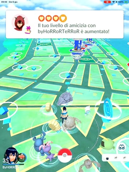 GRAVELER IV 100 MAX CP 1762