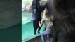 Dancing Bear in Pool at Zoo Mimics Girl Jumping