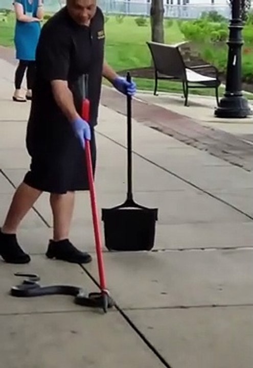 Sans hésiter, elle prend le serpent à mains nues et le remet dans l’eau