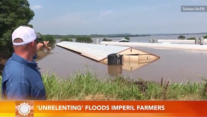 Floods threaten farmers as inundated crops struggle to grow