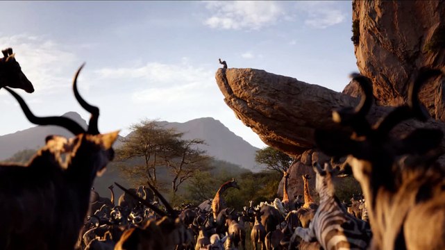 Le Roi Lion Film (2019) - Un véritable roi
