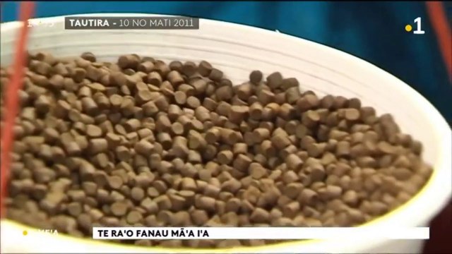 TH : La bio conversion de déchets organiques au service de l’aquaculture