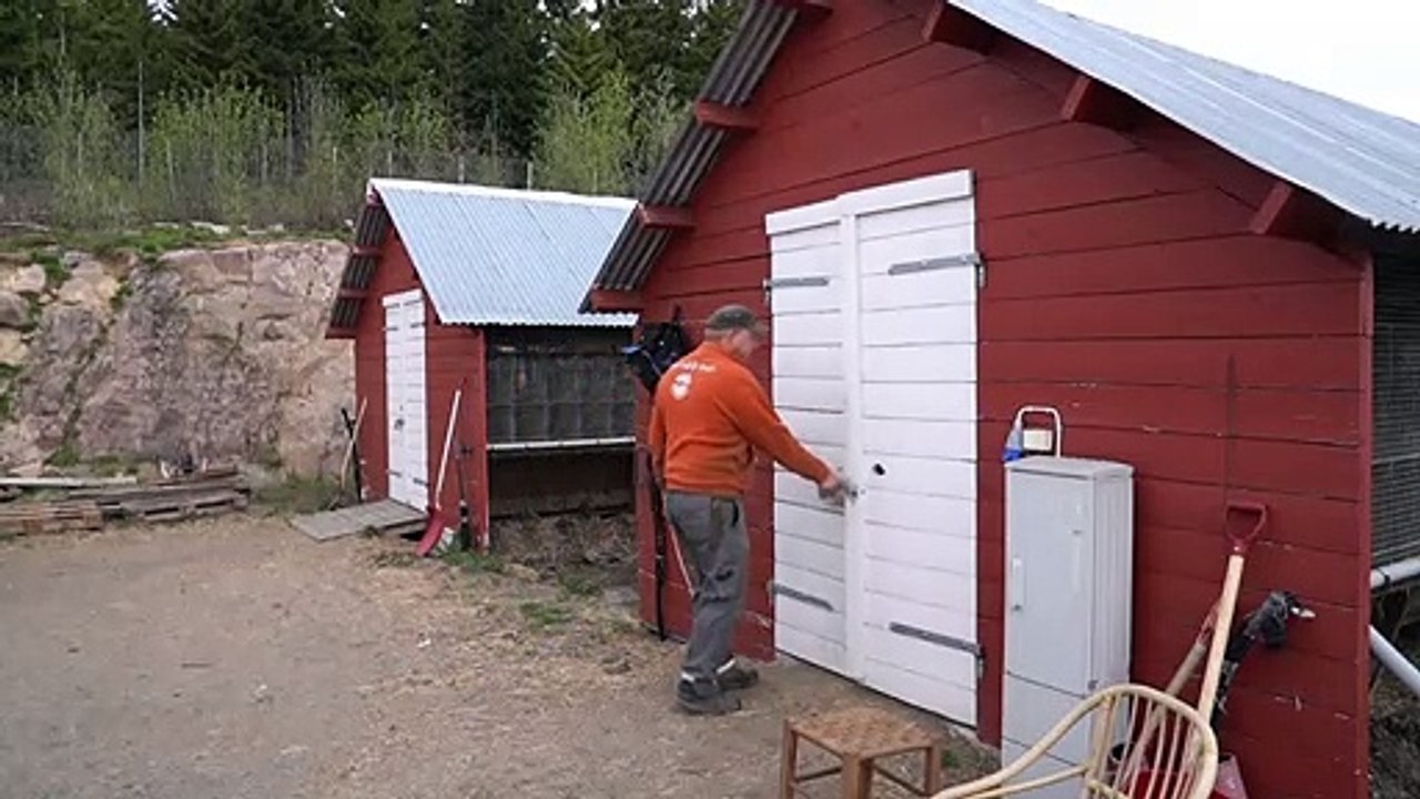 Ein Herz für Nerze: Pelzfarmen in Norwegen bald tabu