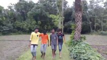 Home video funny:try not to laugh_Funny 219, Funny videos, Funny, Funny 219 videos, Funny 219 pakistan, Funny 219 movies