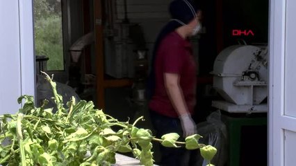 ANTALYA KÜÇÜK AKTAR DÜKKANINDAN ABD'YE UZANAN YOL