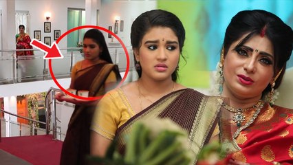 செம்பருத்தி சீரியல்: புதினா டீ வைத்து பார்வதியை சோதிக்கும் அகிலா- வீடியோ