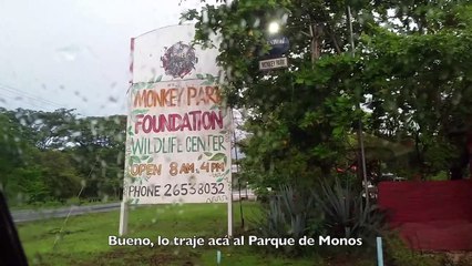 Things we see in Costa Rica #12