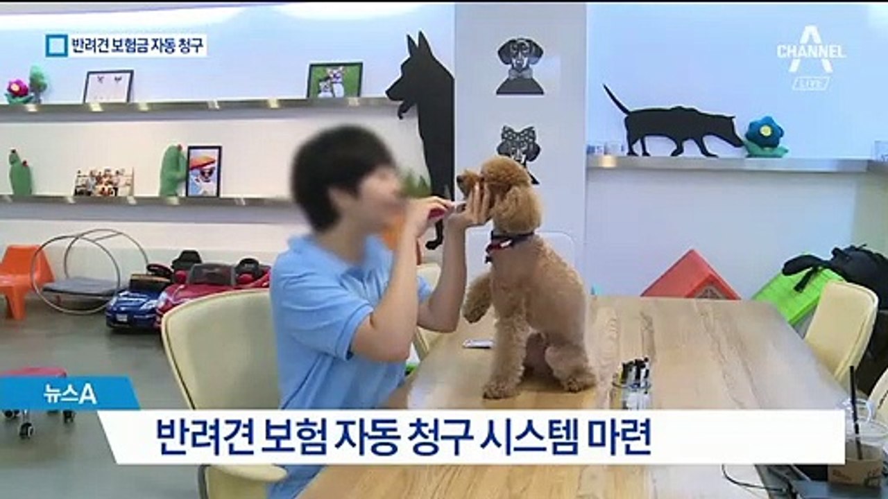 반려견 보험금 수령 편리해진다…자동 청구 시스템 마련