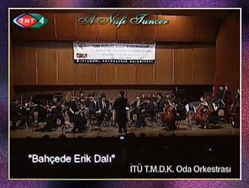 İTÜ T.M.D.K. ODA ORKESTRASI - Bahçede Erik Dalı