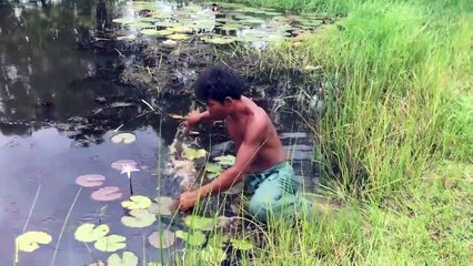 Build Stone Fish Pond Part 2