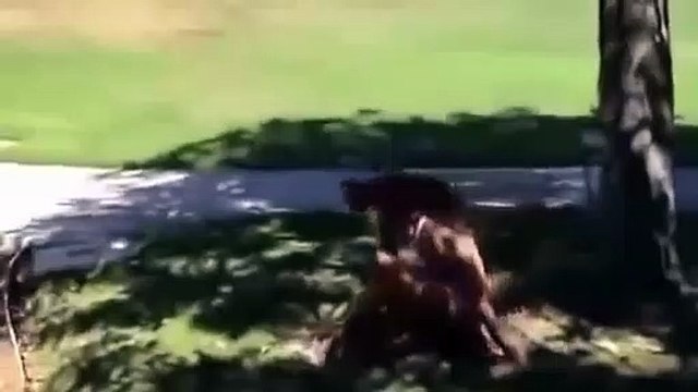 Female panties pulled embarrassing situations for girls