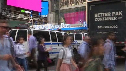 뉴욕 타임스스퀘어 테러 모의 혐의 20대 체포 / YTN