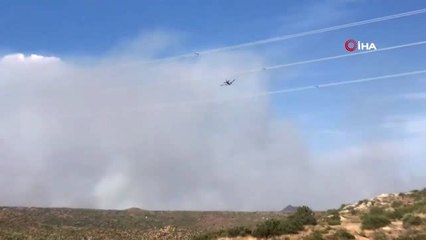 - ABD'de 6 Bin Hektarlık Orman Kül Oldu