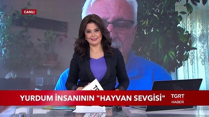 Yurdum İnsanının "Hayvan Sevgisi"