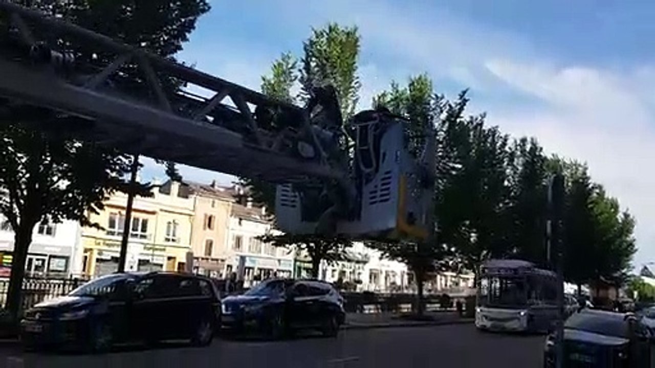 Sauvetage du chaton coincé dans un tuyau d'évacuation d'eaux pluviales