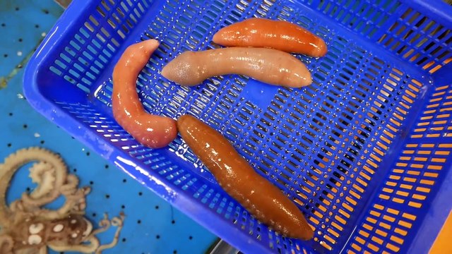 Korean Street Food - PENIS FISH Seoul Seafood