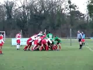 rugby chantilly creil ( en vert ) maûle