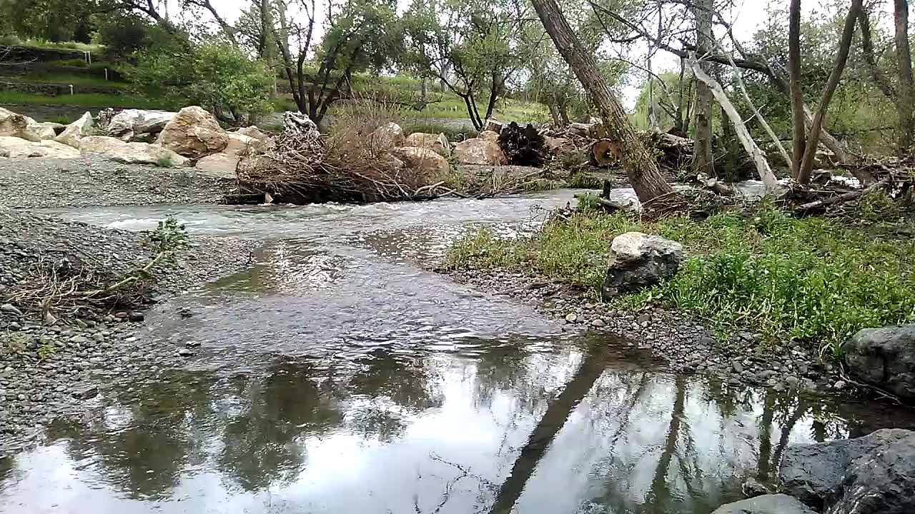 Un moment de calme près de la rivière Guadalupe à San Jose, CA, USA :