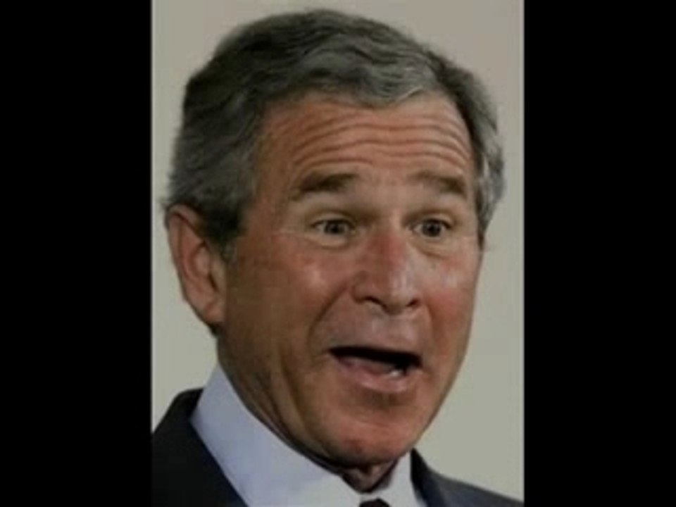 Bush_0003