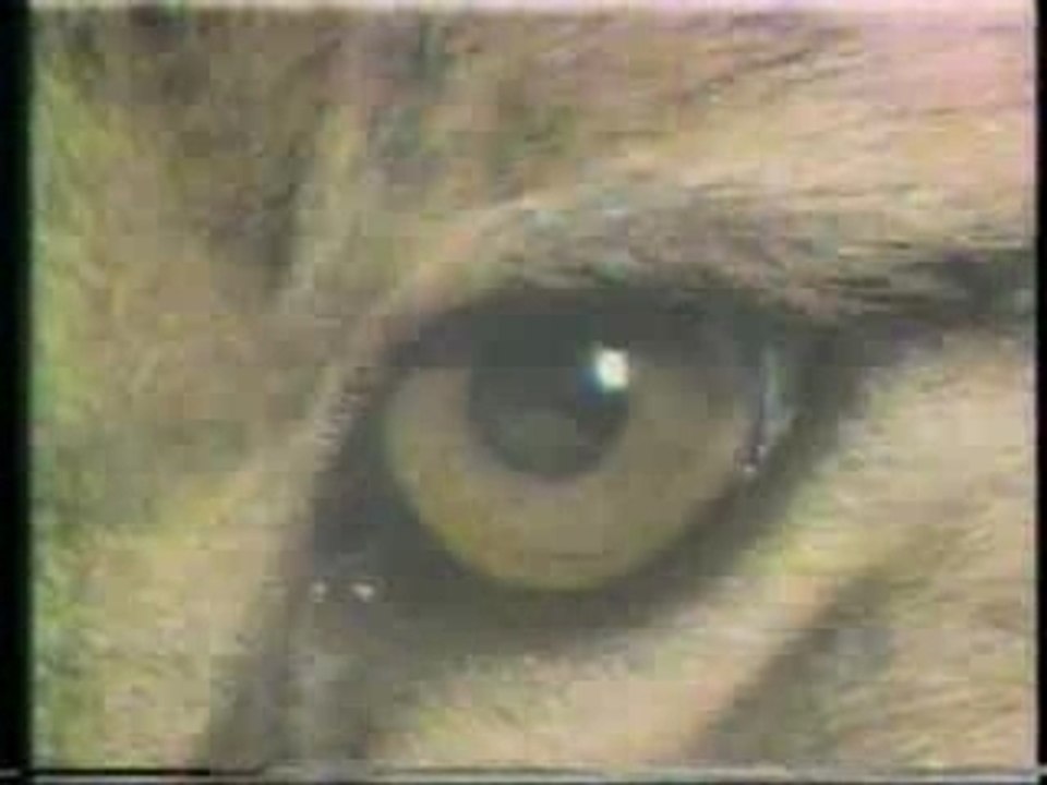 Space: 1999 Year Two promos from 1976!