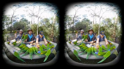 Parrots Crash our Picnic! - in VR180!