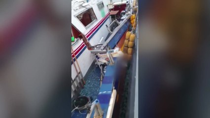 음주 어선, 낚싯배 충돌...낚시승객 4명 경상 / YTN