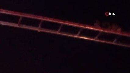 - Direkte mahsur kalan kediyi itfaiye kurtardı