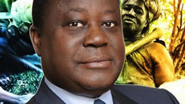 Ivorian govt condemns xenophobic remarks by ex-President