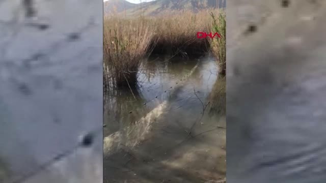 Van TIR'da, kaçak avlanan 2 ton inci kefali ele geçirildi