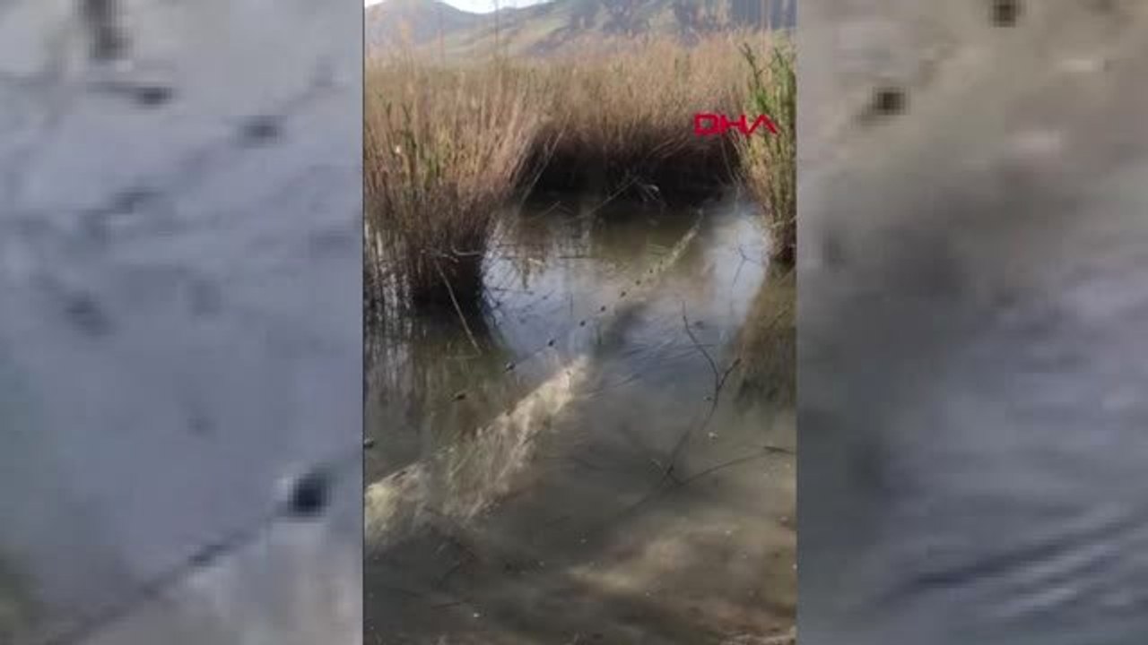 Van TIR'da, kaçak avlanan 2 ton inci kefali ele geçirildi