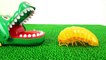 Various Roly-Poly Learn Colors Insect Step into the Fumbling Toy Spo Spo Crocodile's