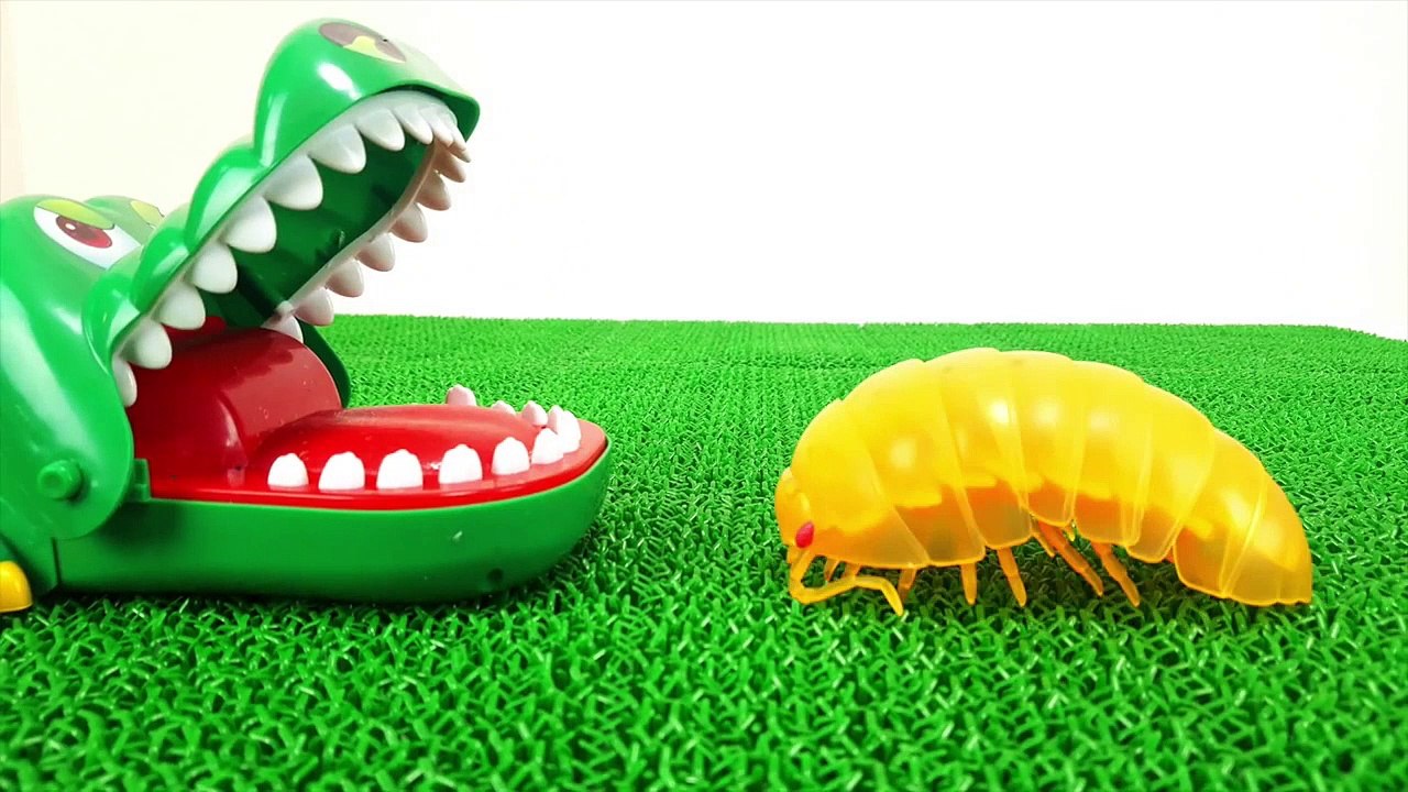 Various Roly-Poly Learn Colors Insect Step into the Fumbling Toy Spo Spo Crocodile's