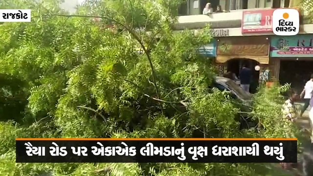 રૈયા રોડ પર કાર પર વૃક્ષ પડતા એક વ્યક્તિને ઇજા પહોંચી