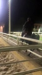 يا سقا قول الحق هو حصانك ولا لأ.. هل منعت النفسنة أحمد السقا من ذكر أسم حصان مصطفى شعبان فى برنامج عمرو أديب