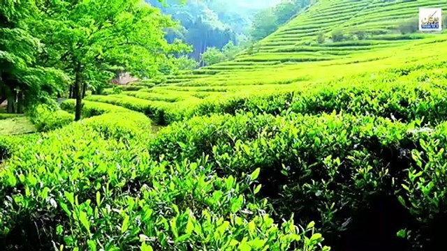 E 2 - P 6 - موهنجو دارو: شهر 4500 ساله تمدن هاراپا / Mohenjo daro: The 4500 year old city