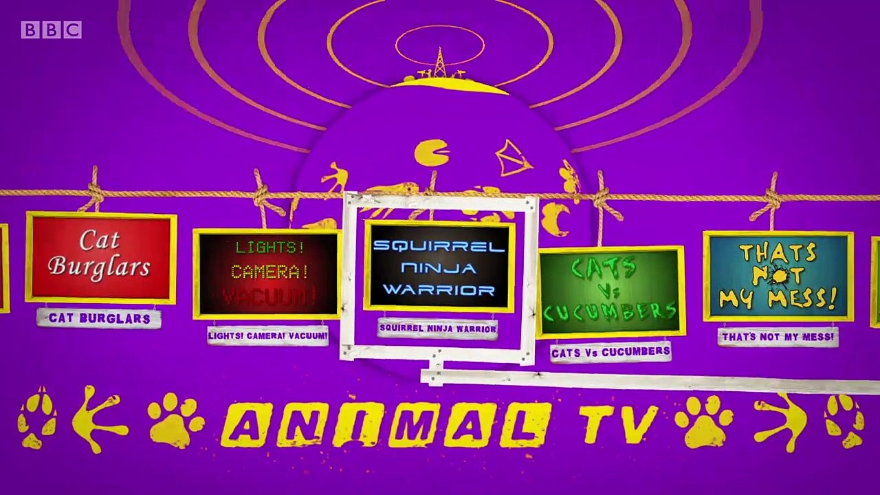 Animal_TV-s01e01-Launch_Night_with_Dotty_and_Simon