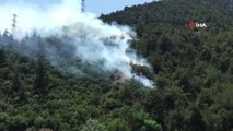 Bilecik'te orman yangını: İtfaiye ekipleri yangına müdahale ediyor