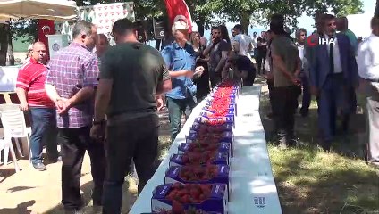 Mahmudiye Çilek Festivali büyük ilgi gördü