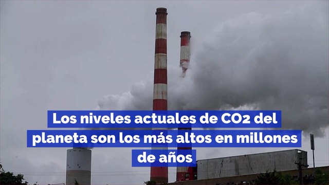 Los niveles actuales de CO2 del planeta son los más altos en millones de años