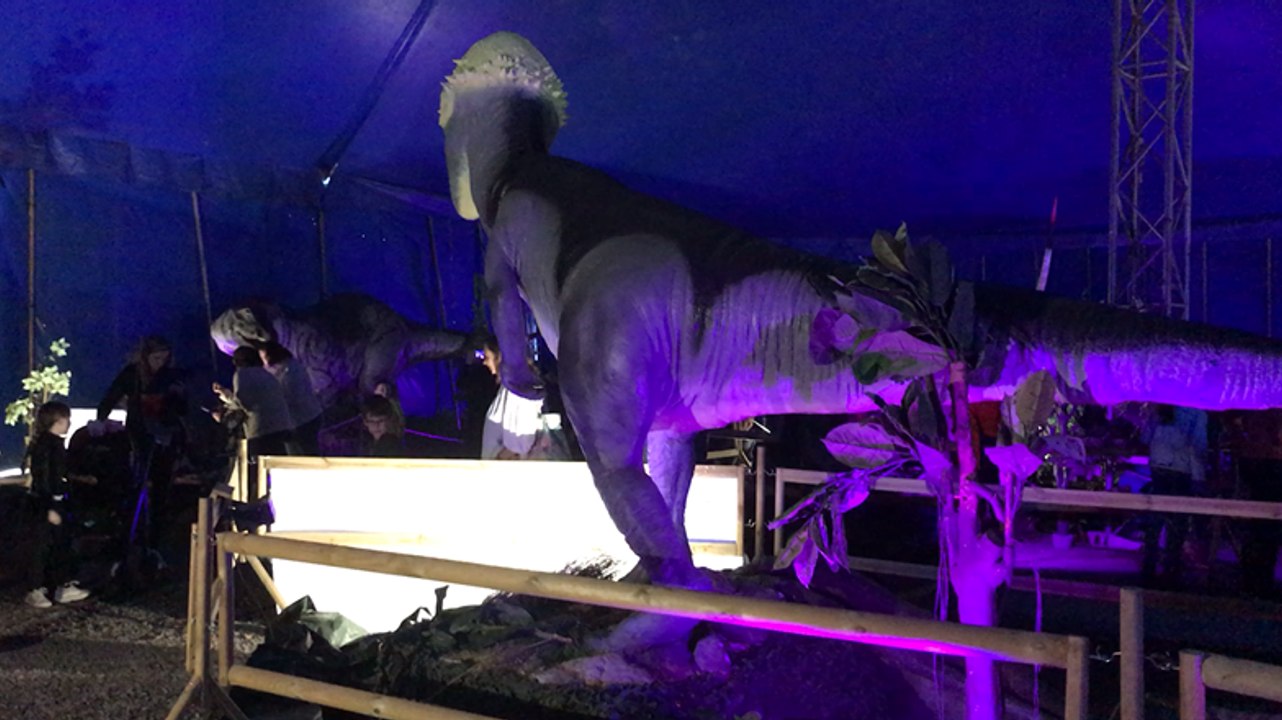Lisieux: Les dinosaures XXL ont envahi le Parc...