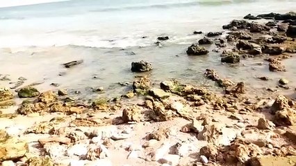 #Popenguine : quand la mer se déchaîne et avale tout