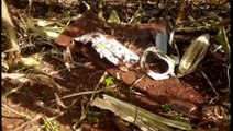 Avião que caiu perto do Parque Verde já foi retirado do local