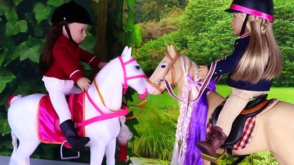Baby Doll Hair Style Shop for Horses!