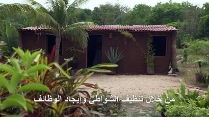 الطحالب البحرية في المكسيك تحفز الحس الابتكاري لدى رواد الأعمال