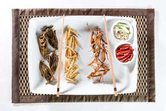 Eating Insects Might Help to Save the Planet