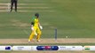 Not out?! Warner survives as bails stay on